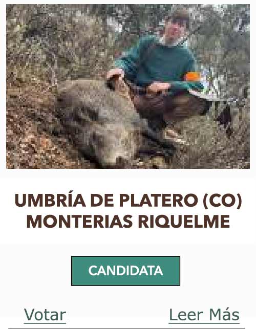 CandidatasPueblaEstellez Chaves