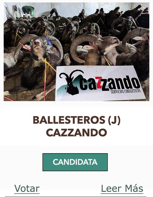 CandidatasPueblaEstellez Chaves