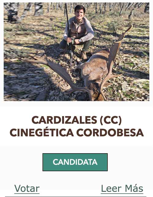 CandidatasPueblaEstellez Chaves