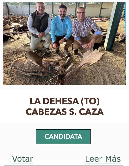 CandidatasPueblaEstellez Chaves