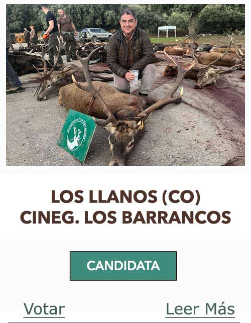 CandidatasPueblaEstellez Chaves