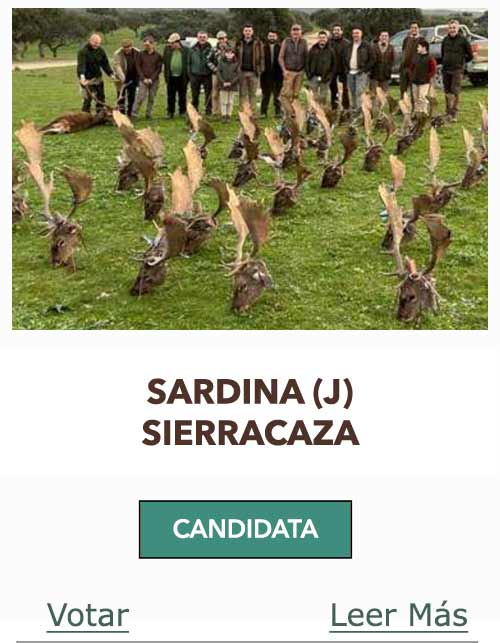 CandidatasPueblaEstellez Chaves