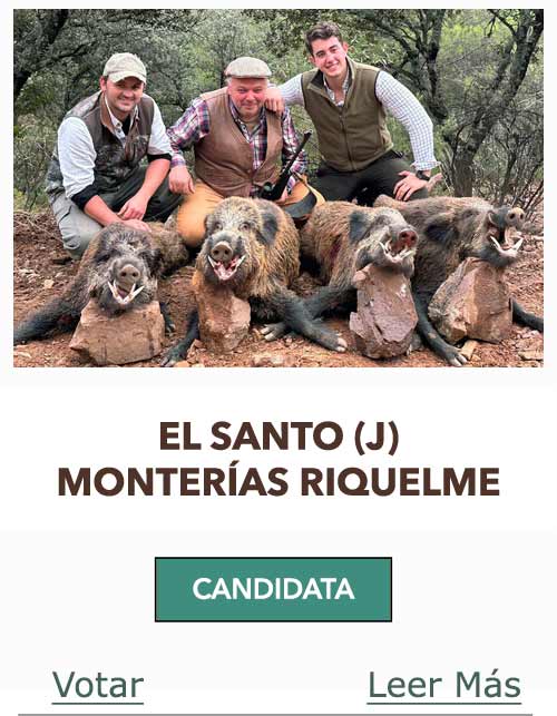 CandidatasPueblaEstellez Chaves