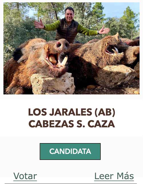 CandidatasPueblaEstellez Chaves