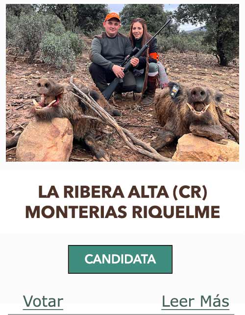 CandidatasPueblaEstellez Chaves