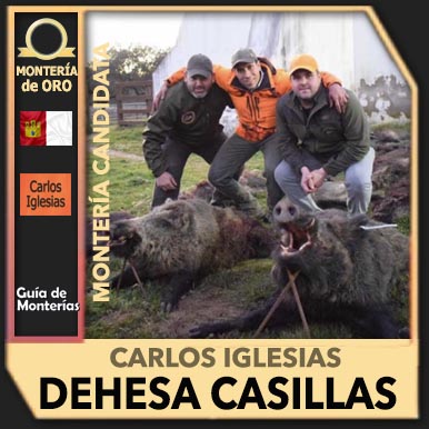 Candidatas20182109CarlosIglesiasDehesaCasillas
