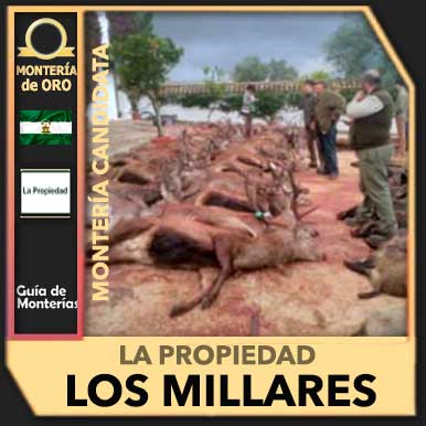Candidatas20182109PropiedadMillares