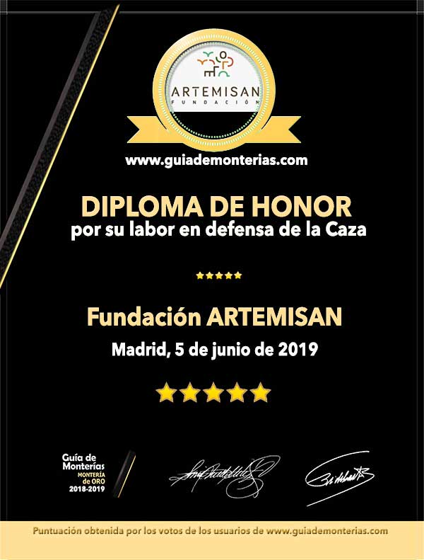 DiplomaHonor2019ArtemisanPQ