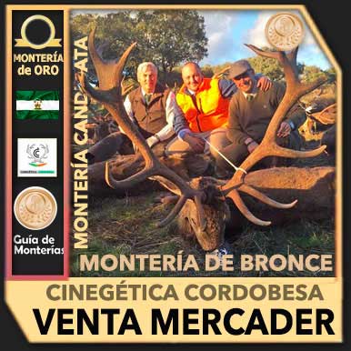 MonteriaCerradaBronce2019VentaMercader