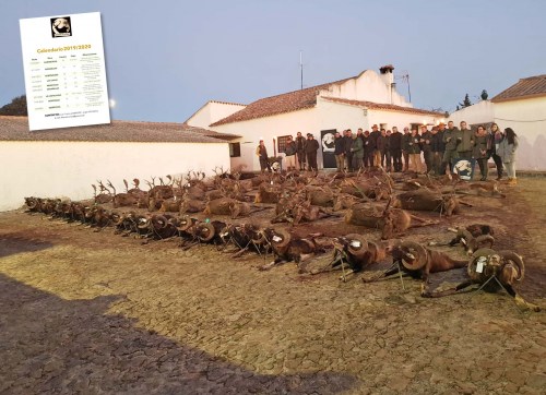 Iberian Hunting
